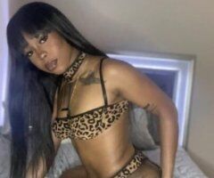 Orlando female escort - WHAT I LACK IN THE BACK I PACK IN THE CAT 😻💦