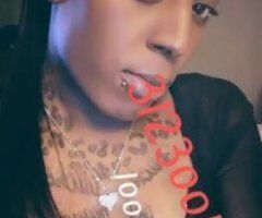 Chicago TS escort female escort - ❄❄SNOWY HEAD IS THE BEST COME SEE THE BEST OF EM ALL👅❄❄❄