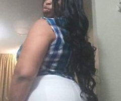Tampa female escort - HEY THERE DADDYS ITS REDD READY FOR YOU TO COME LAY YOUR STRESS DOWN