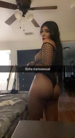 Hi, I'm Sofia, a very hot transsexual. I'm going back to your city. We're going to have a good time. - 2