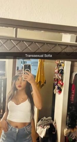 Hi, I'm Sofia, a very hot transsexual. I'm going back to your city. We're going to have a good time. - 4
