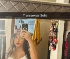 Hi, I'm Sofia, a very hot transsexual. I'm going back to your city. We're going to have a good time. - Image 4