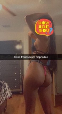 Hi, I'm Sofia, a very hot transsexual. I'm going back to your city. We're going to have a good time. - 5