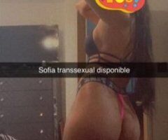 Hi, I'm Sofia, a very hot transsexual. I'm going back to your city. We're going to have a good time. - Image 5