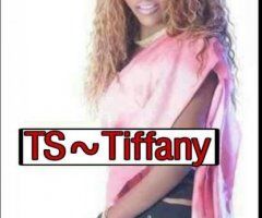 Western Slope TS escorts escorts - ?TEXAS?PRINCES ?INCALL~ONLY☎4693924102☎TIFFANY ?10"Inch~TOP~