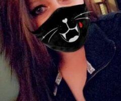 😺It's ALLY CAT!😽!🔥IN KZOO! Read post please - Image 1